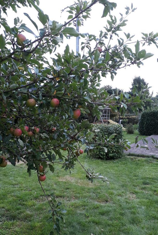 Villa Franzen Derenbach Dış mekan fotoğraf